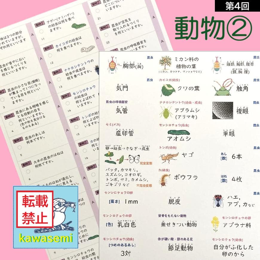 カット済☆最新版【中学受験】理科の基本事項 暗記カード フルセット 早稲アカb