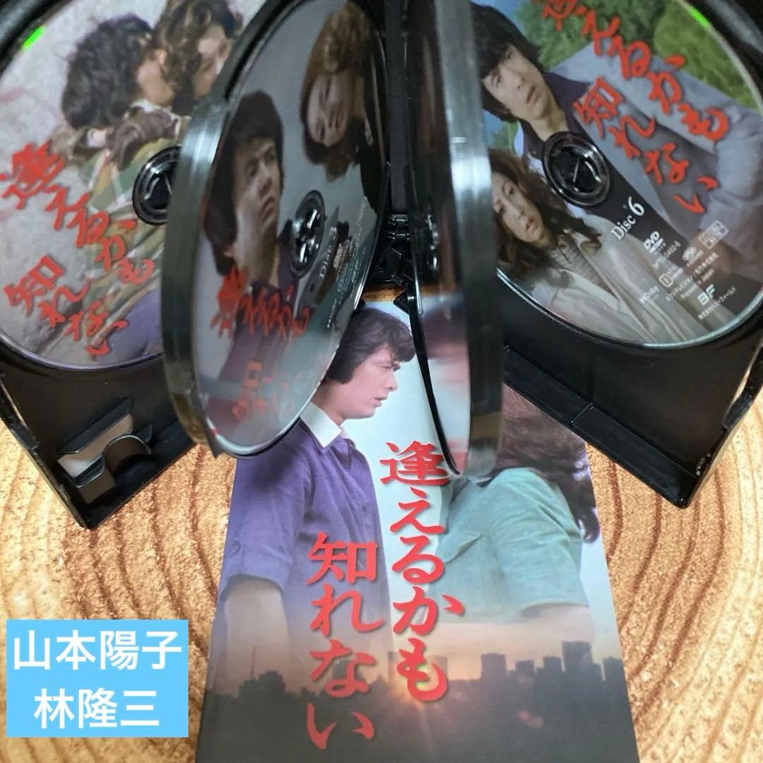 逢えるかも知れない コレクターズDVD BOX〈6枚組〉 山本陽子/林隆三