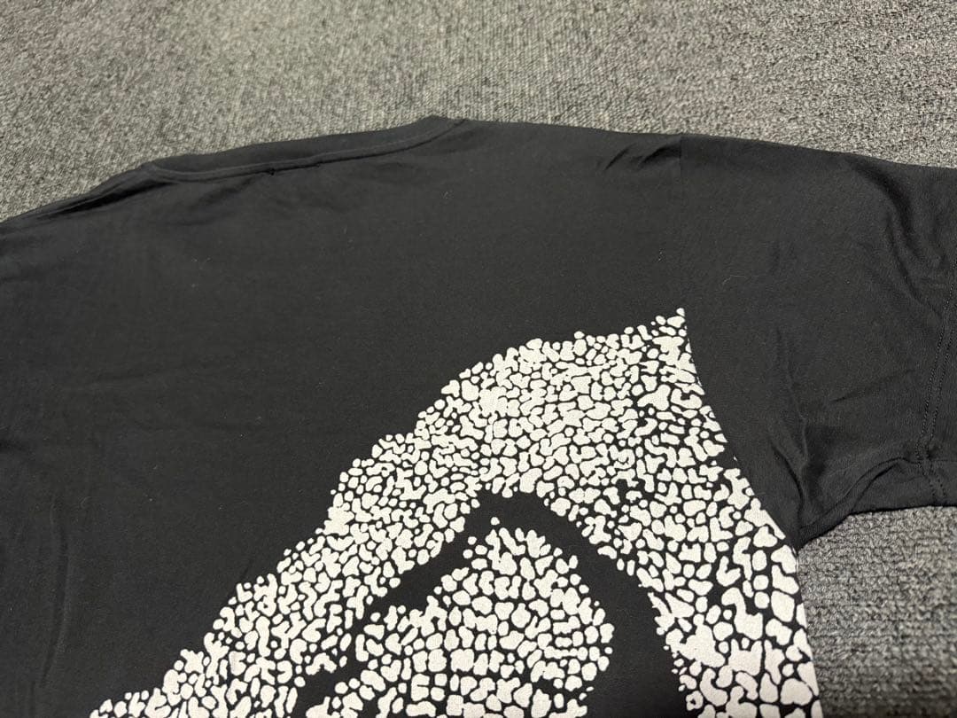 サンローランパリ レオパードTシャツ エディスリマン 15SS