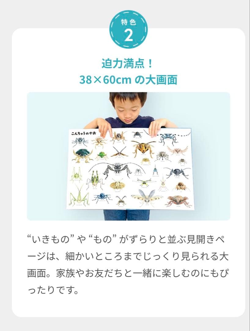 いきもののつくるもの 全12巻