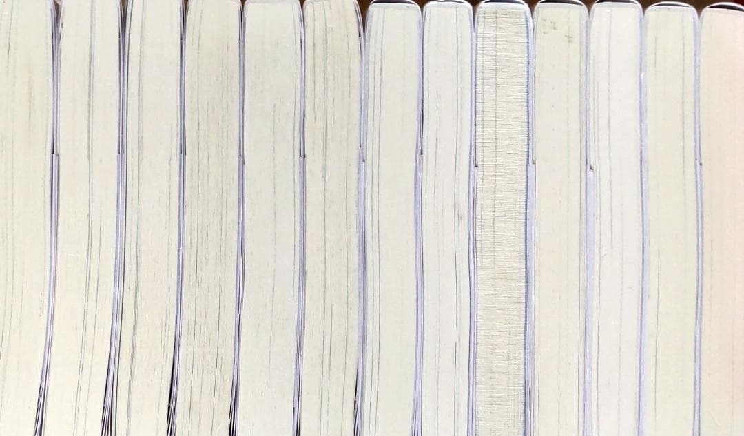 お隣の天使様にいつの間にか駄目人間にされていた件 小説 合計13冊　全巻セット