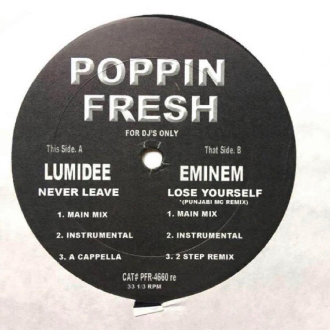 PANJABI MC Remix 4枚 EMINEM / JAY-Z