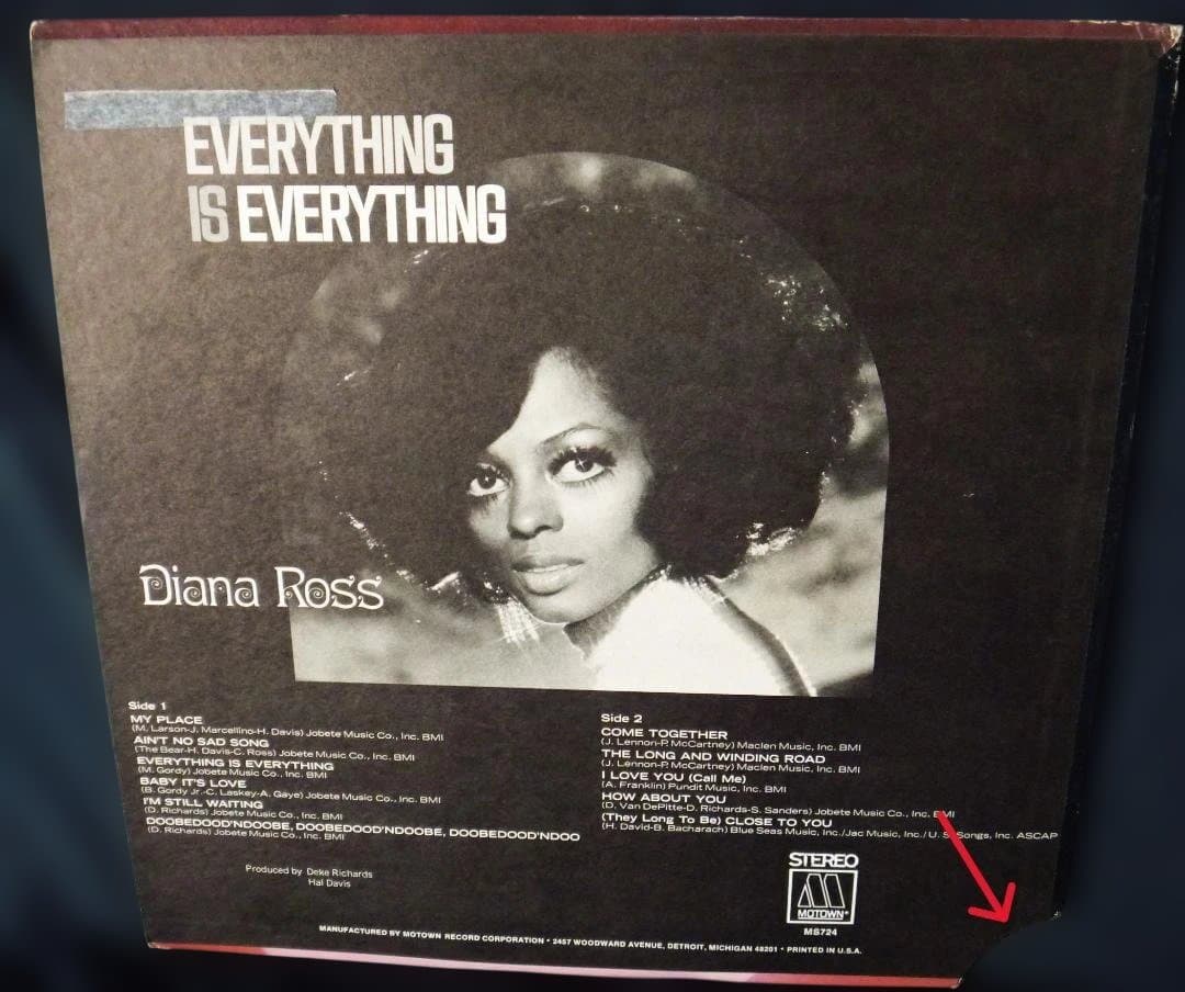 ☆ Diana Ross - Everything Is Everything
