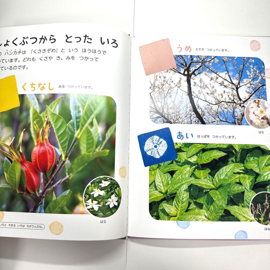 【2点購入150円引】キンダーブック しぜん くさきぞめ『2022年10月号』