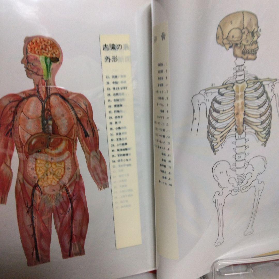 家庭の健康と医学大百科
