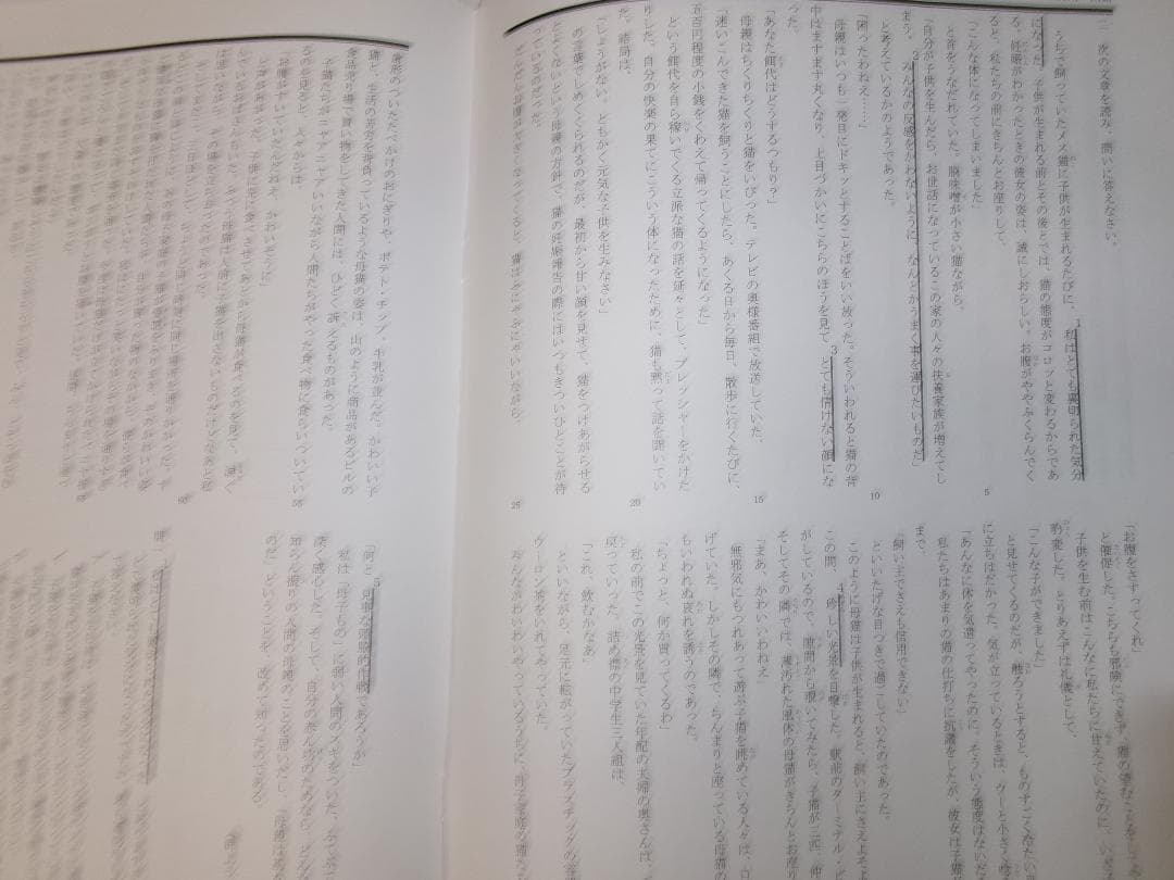 早稲田アカデミー＊６年＊ＮＮ前期＊慶應義塾普通部／国語＊全６回完全版＊２０２４年