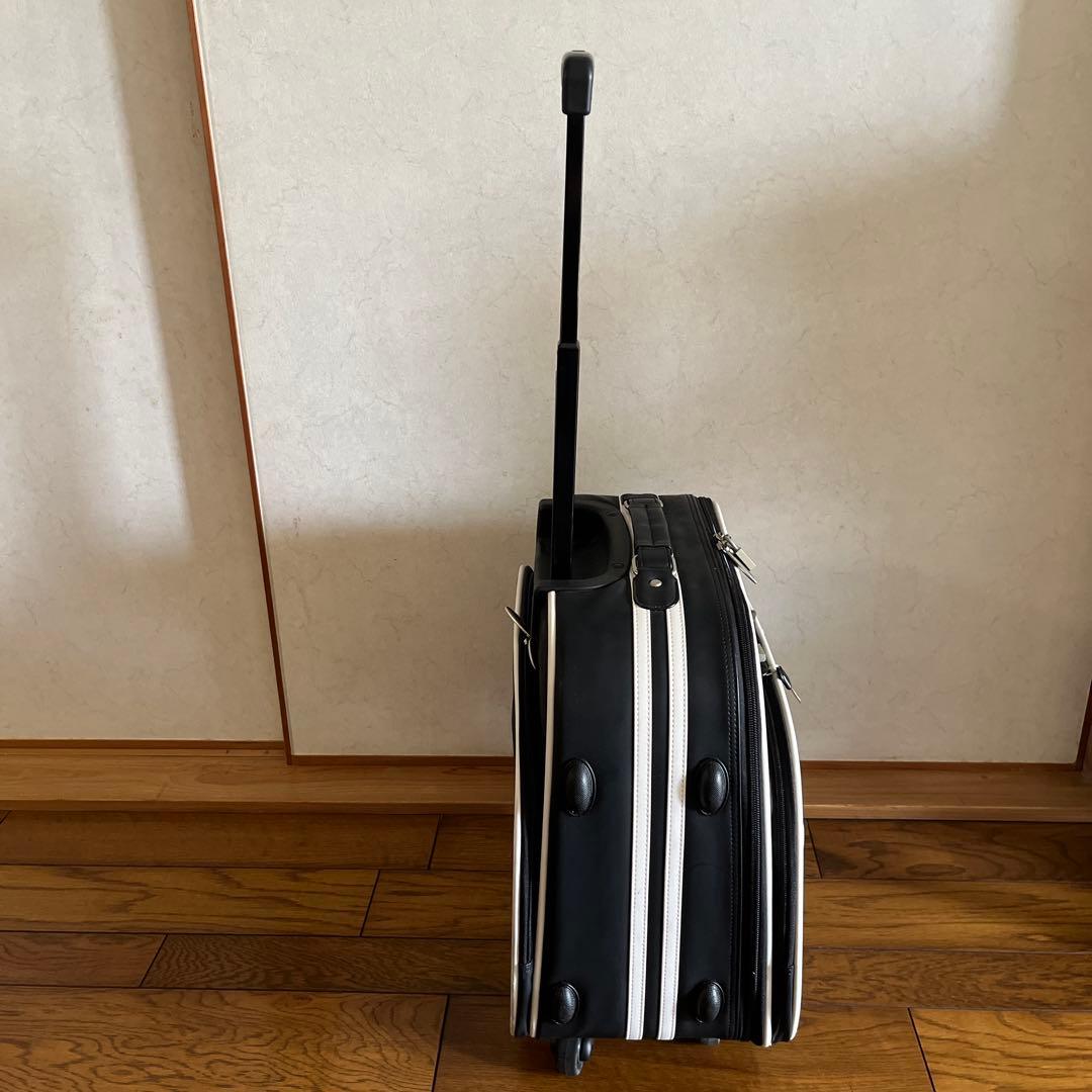 値下げ❗️SWANY キャリーバッグ 機内持込サイズ　ゴルフに