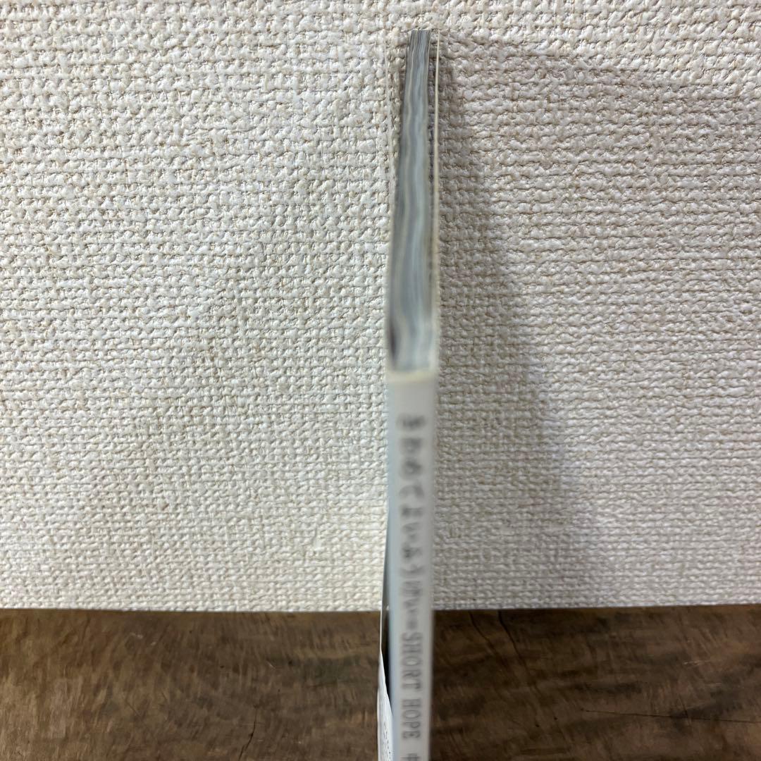初版・帯・ハガキ付き　きわめてよいふうけい 中平卓馬　ホンマタカシ