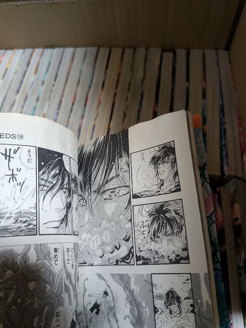 muim 7SEEDS セブンシーズ 全巻セット 1-35巻+外伝
