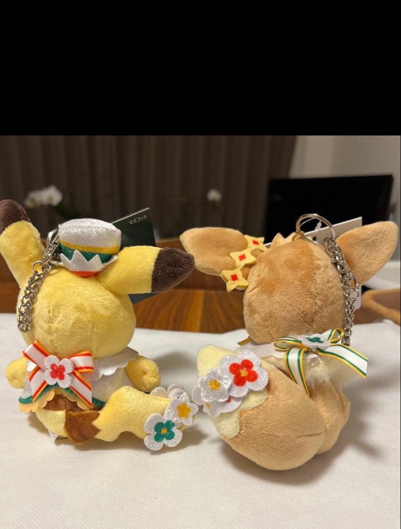 【新品未使用】ポケパークカントー　イーブイ　ピカチュウ　キーホルダー　セット