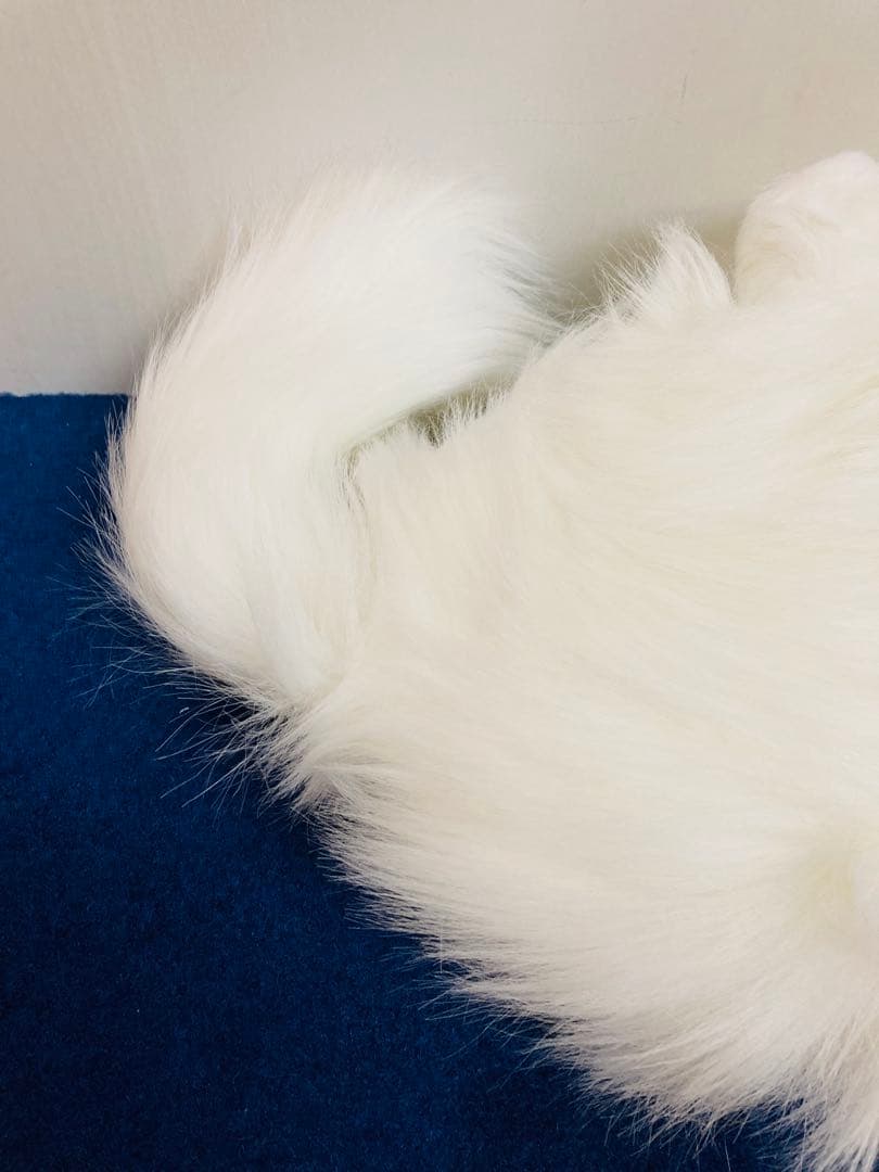 オオイケ　ぬいぐるみ　ペルシャ猫　レトロ OIKE グリーンアイ　キャットハウス