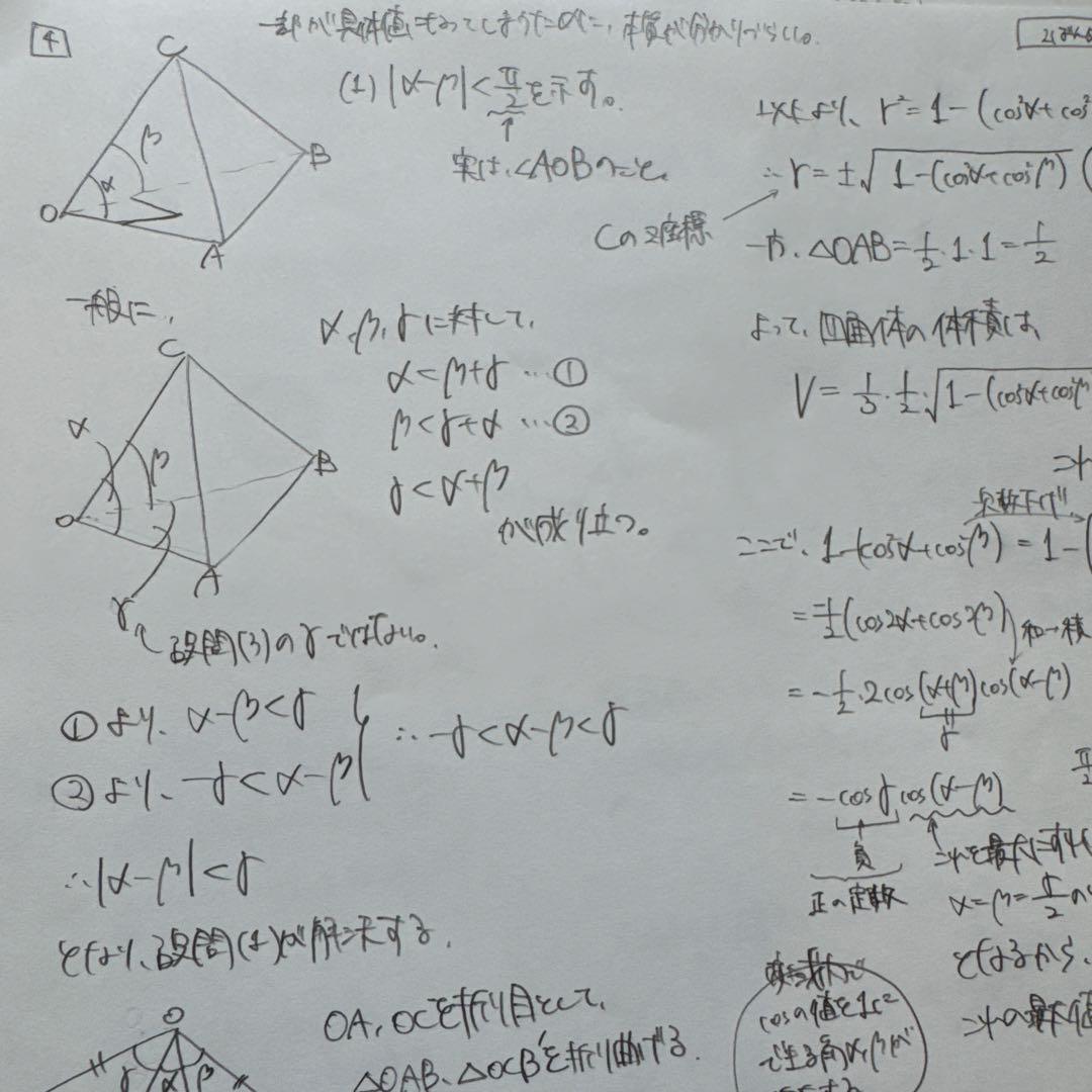 駿台　夏期　東大理系数学　雲K