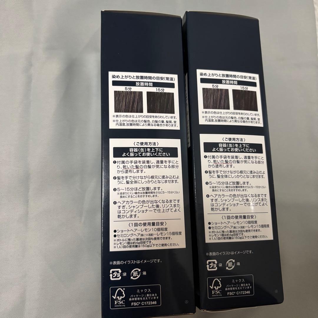 ヘアボーテエクラボタニカルエアカラーフォーム EXナチュラルブラック150g2本