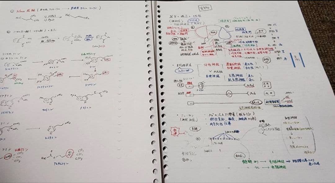薬剤師国家試験　まとめノート　語呂ノート　価格交渉可