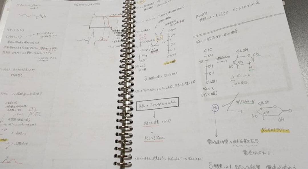 薬剤師国家試験　まとめノート　語呂ノート　価格交渉可