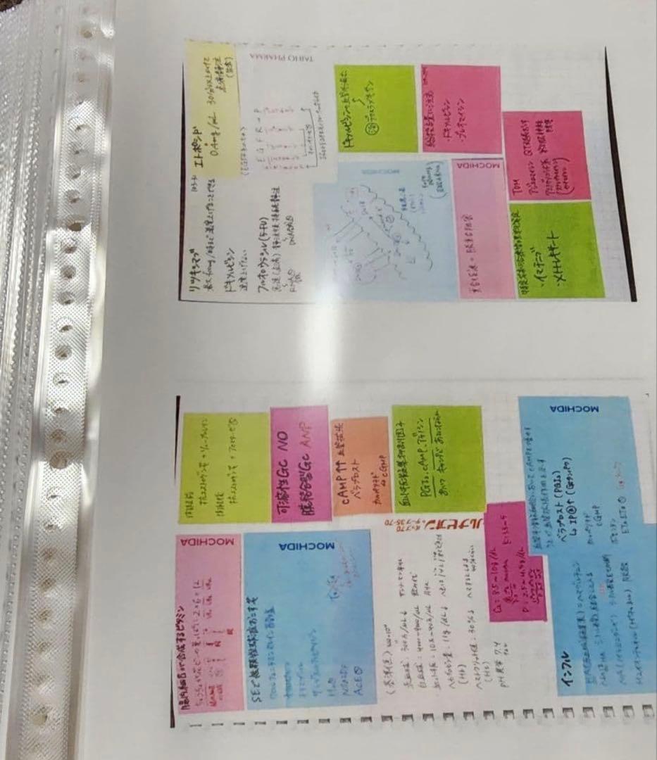 薬剤師国家試験　まとめノート　語呂ノート　価格交渉可