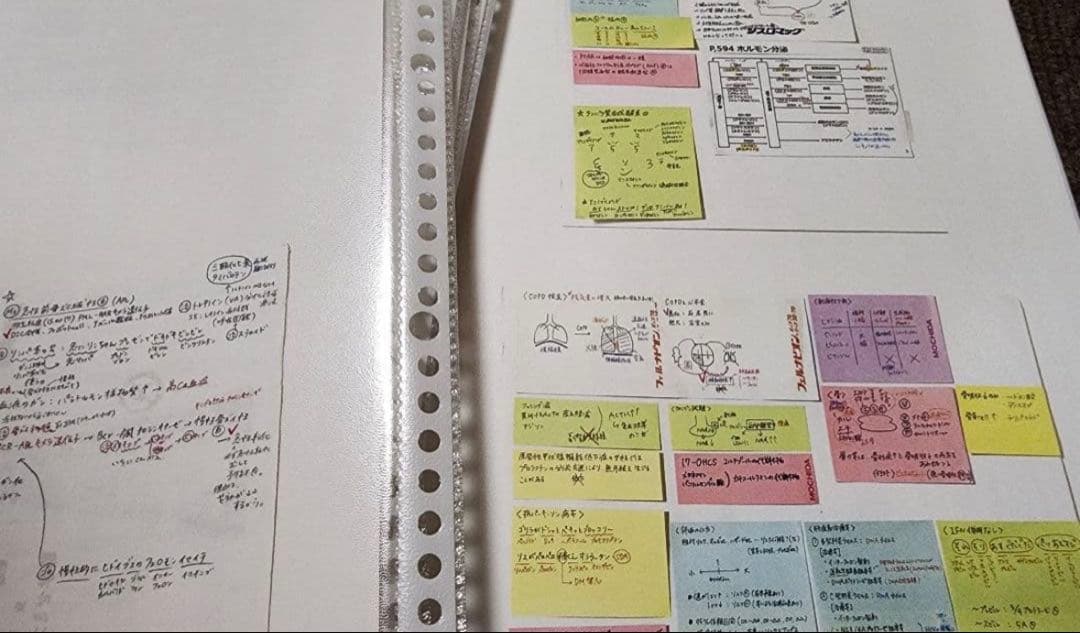 薬剤師国家試験　まとめノート　語呂ノート　価格交渉可