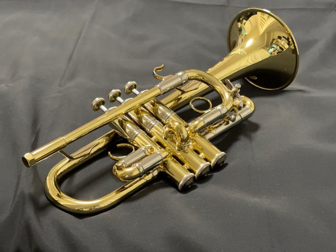 【うの】V.BachアルティザンE♭管 AE190GL選定品