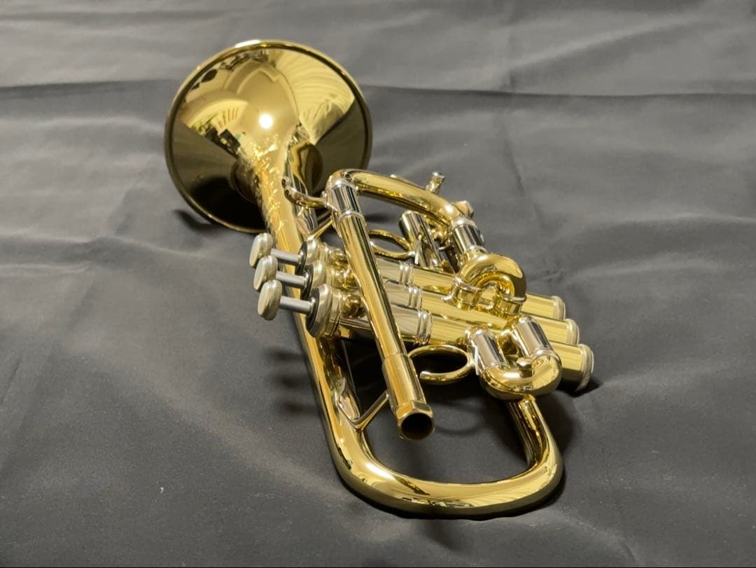 【うの】V.BachアルティザンE♭管 AE190GL選定品