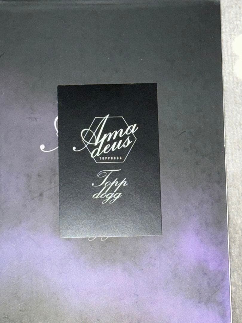 TOPPDOGG Amadeus 直筆サイン入り