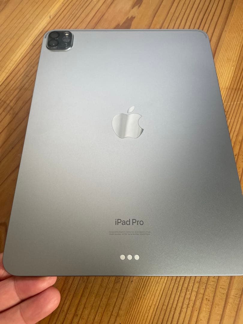 Apple iPad Pro 第４世代 256GB wifi