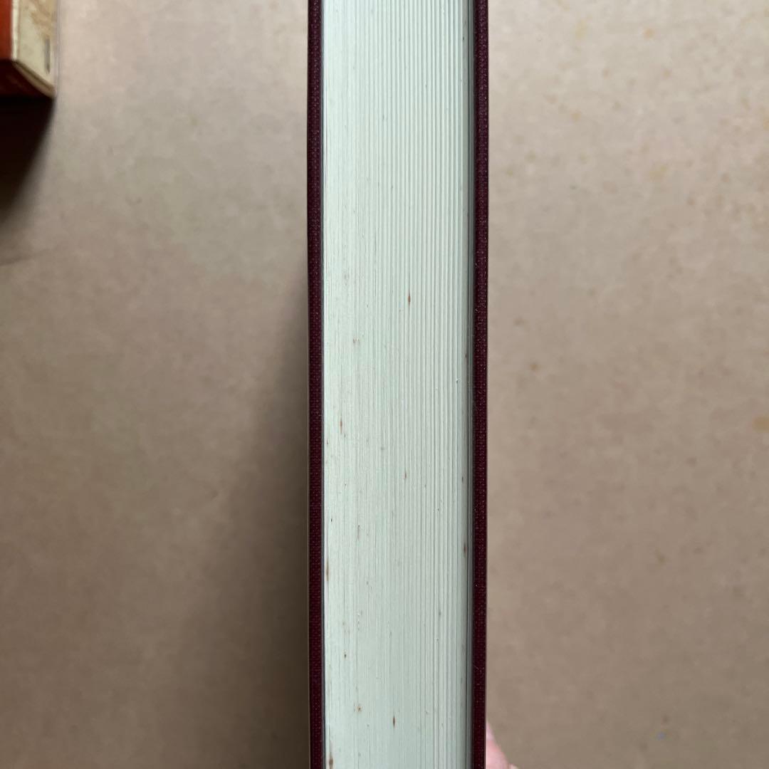 新約聖書ギリシア語辞典