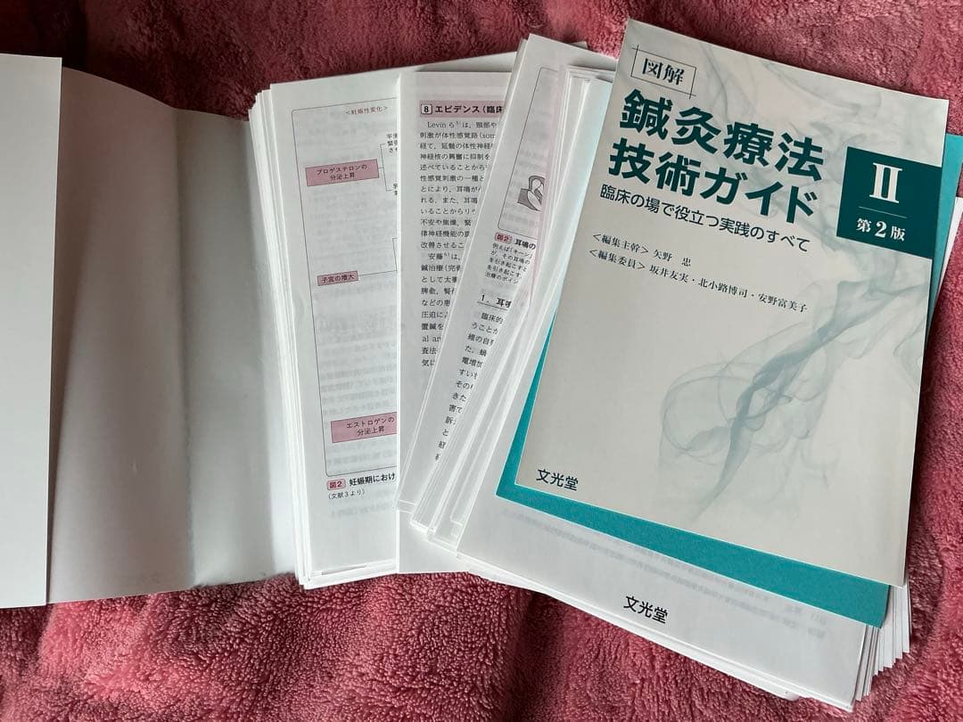 図解鍼灸療法技術ガイド : 臨床の場で役立つ実践のすべて. 1巻2巻セット