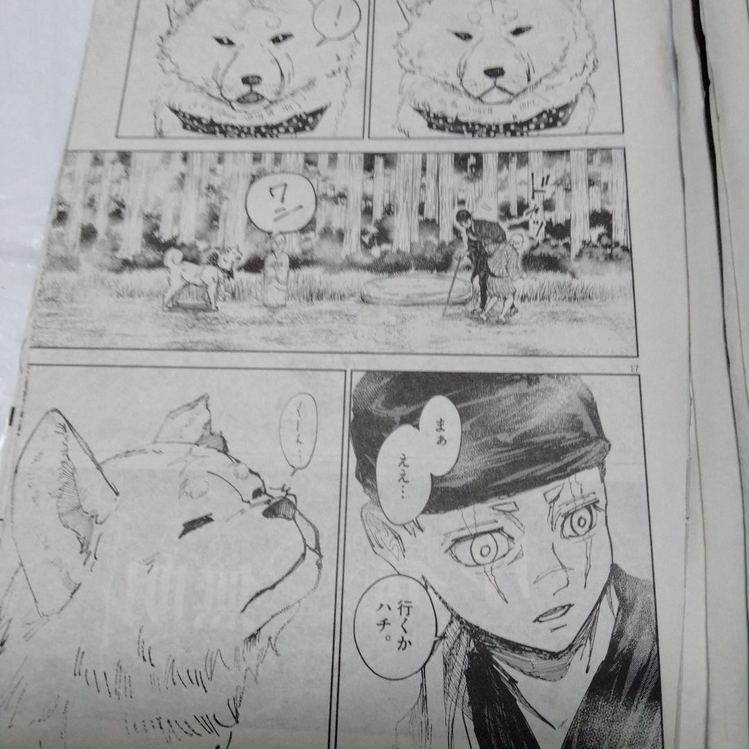 座頭市物語 新連載 切り抜き グラビア 市＆秋田犬ハチ 天保