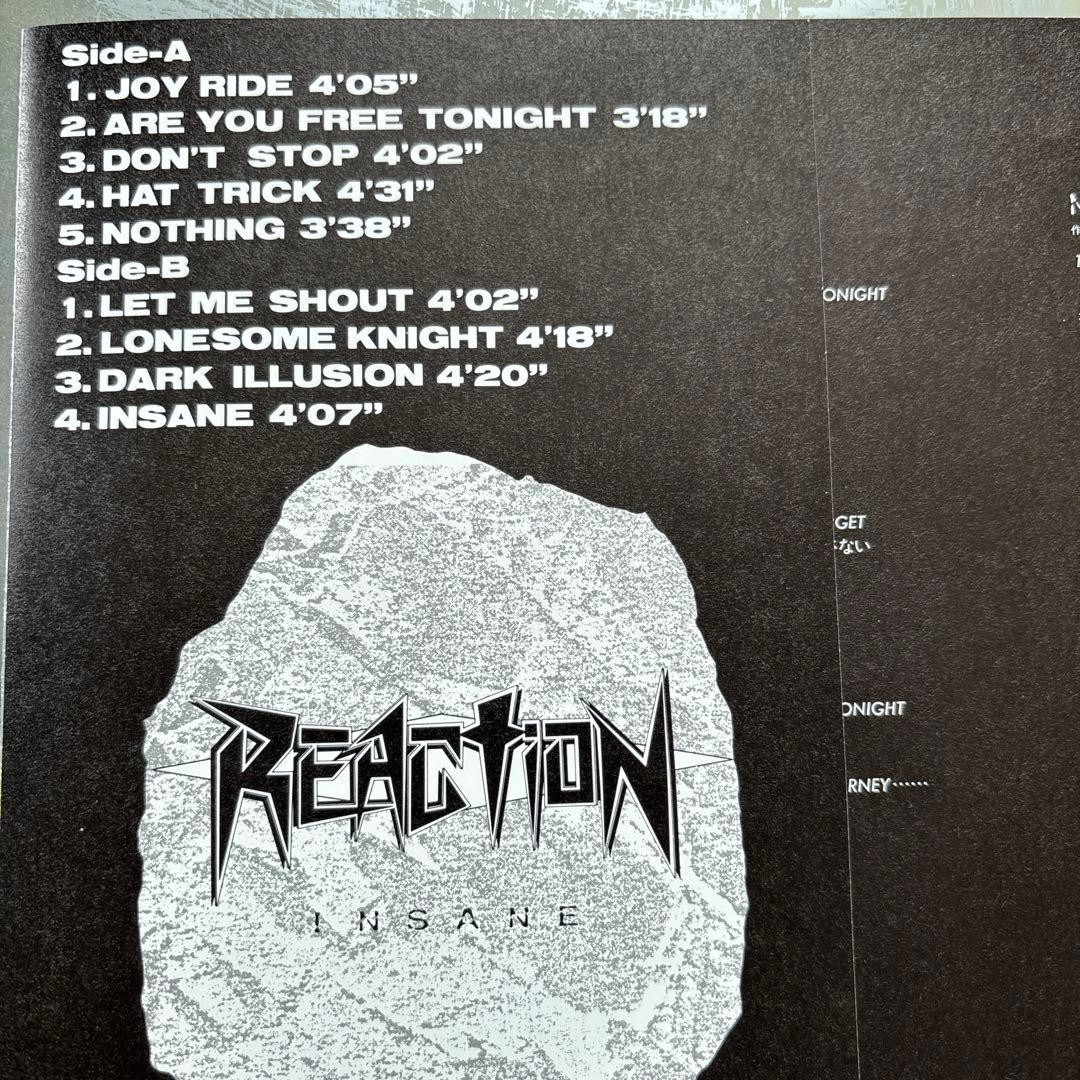 REACTION INSANE アナログレコード