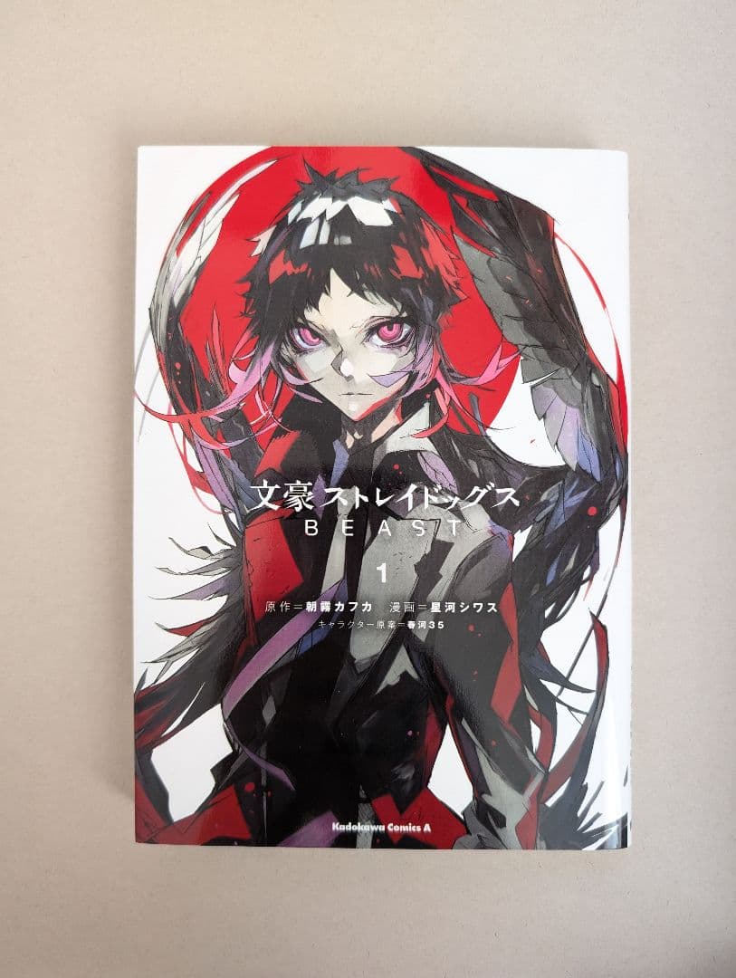 文豪ストレイドッグス　全巻　24巻　+BEAST1巻