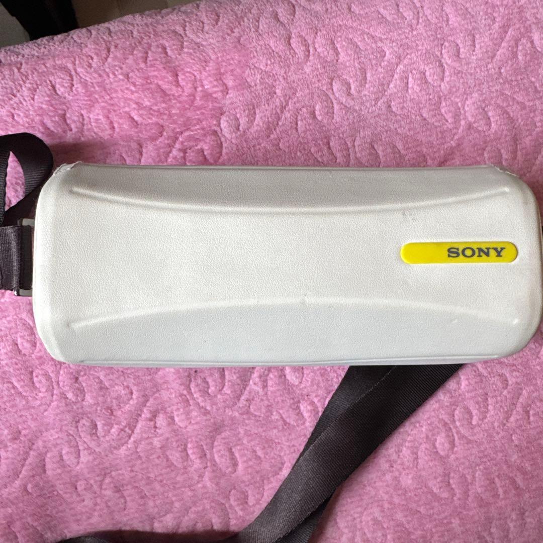 ② SONY　HDR-PJ40