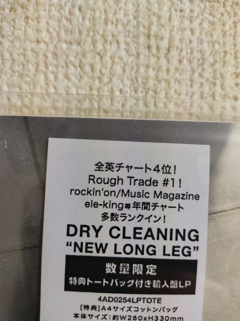 新品!限定!dry cleaning『new long leg』レコード