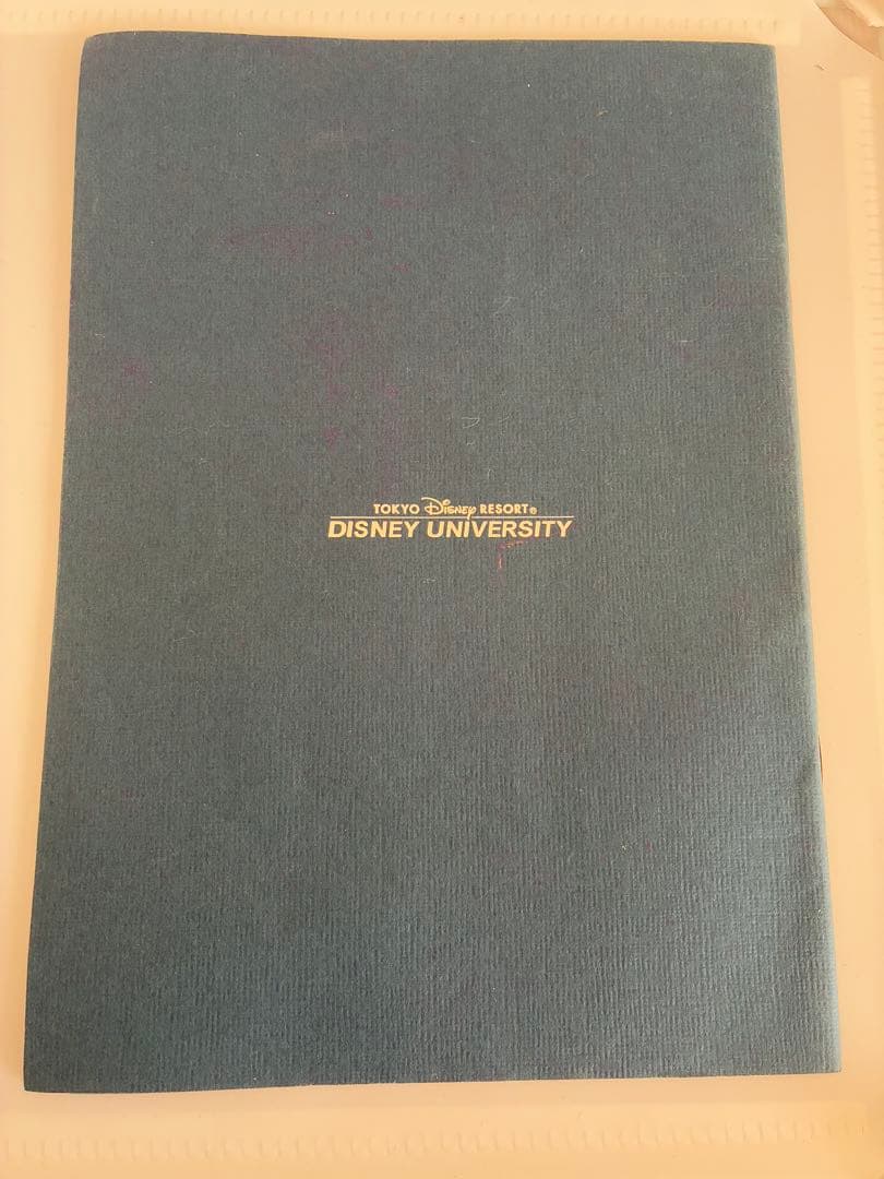 【TDRファン必見/非売品】Disney Tips on Magic