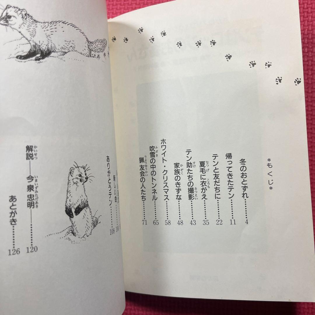 テンはロッジのお客さん
