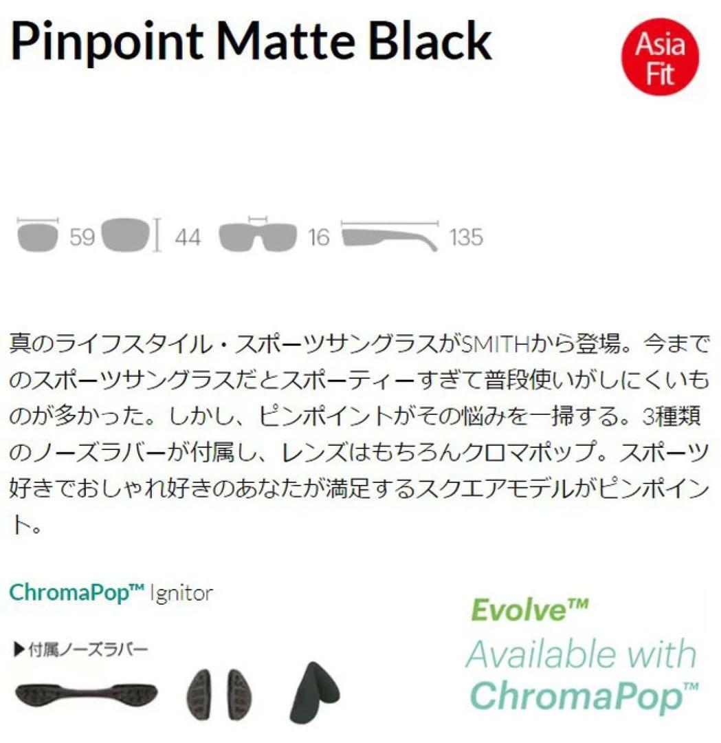 SMITH SUNGLASS CPレンズ スミス サングラス