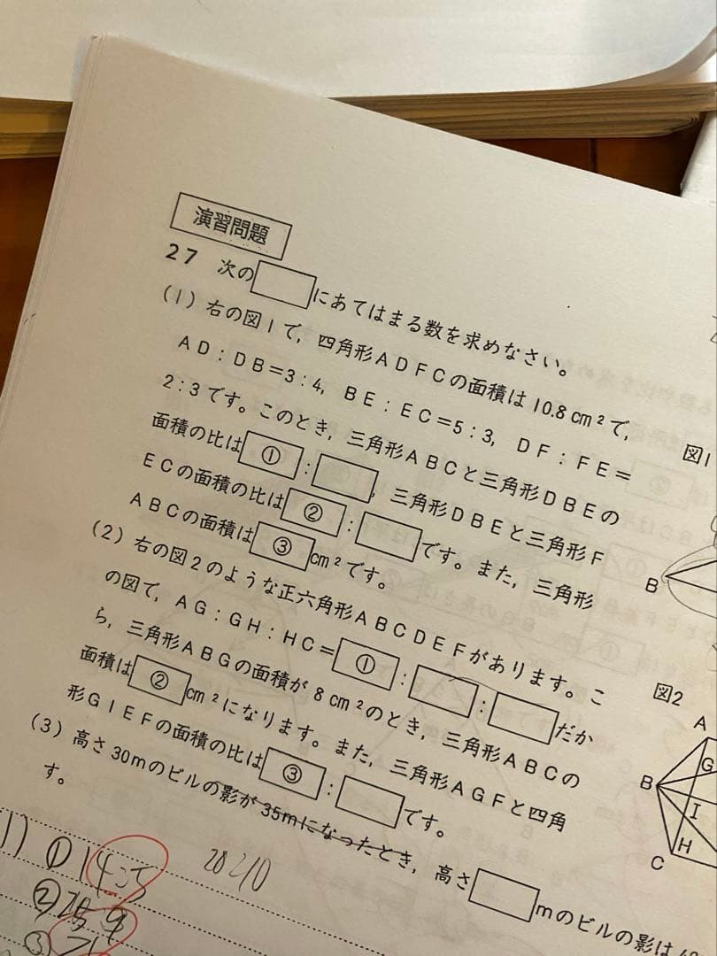 【中学受験】エルカミノ新6年算数全テキスト14冊＋確認テスト12部