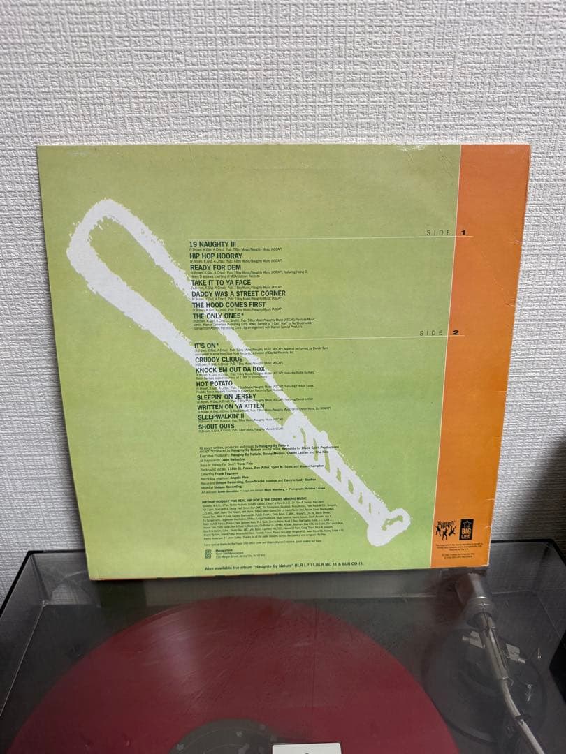 Naughty By Nature レコード