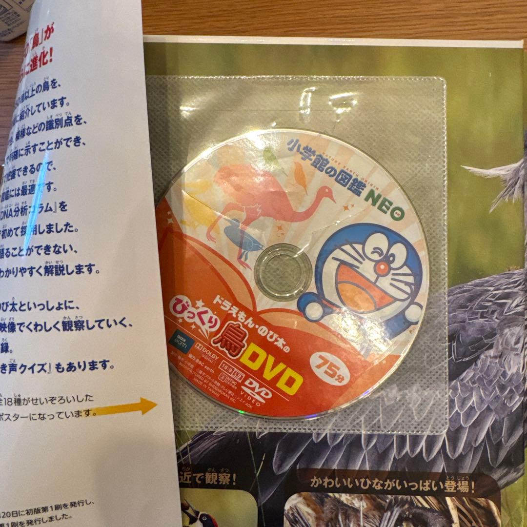 「ゆぅ」7セット　DVDつき