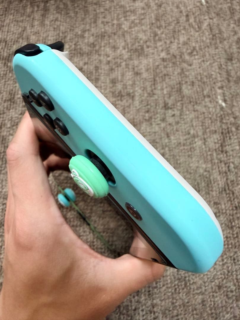 任天堂 Switch どうぶつの森512G サムスンmicroSDXCカード付き