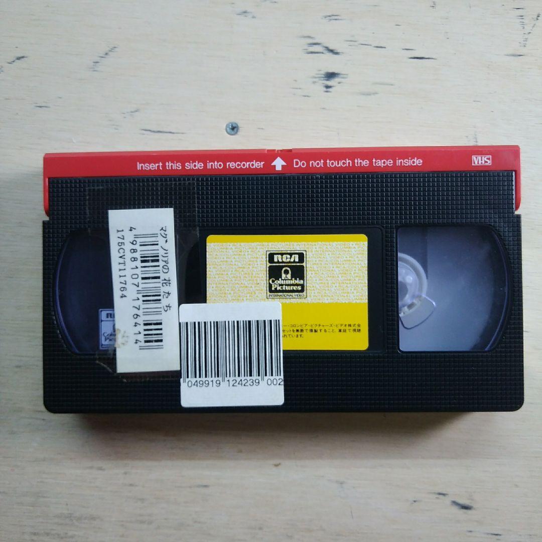 マグノリアの花たち　VHS　字幕版