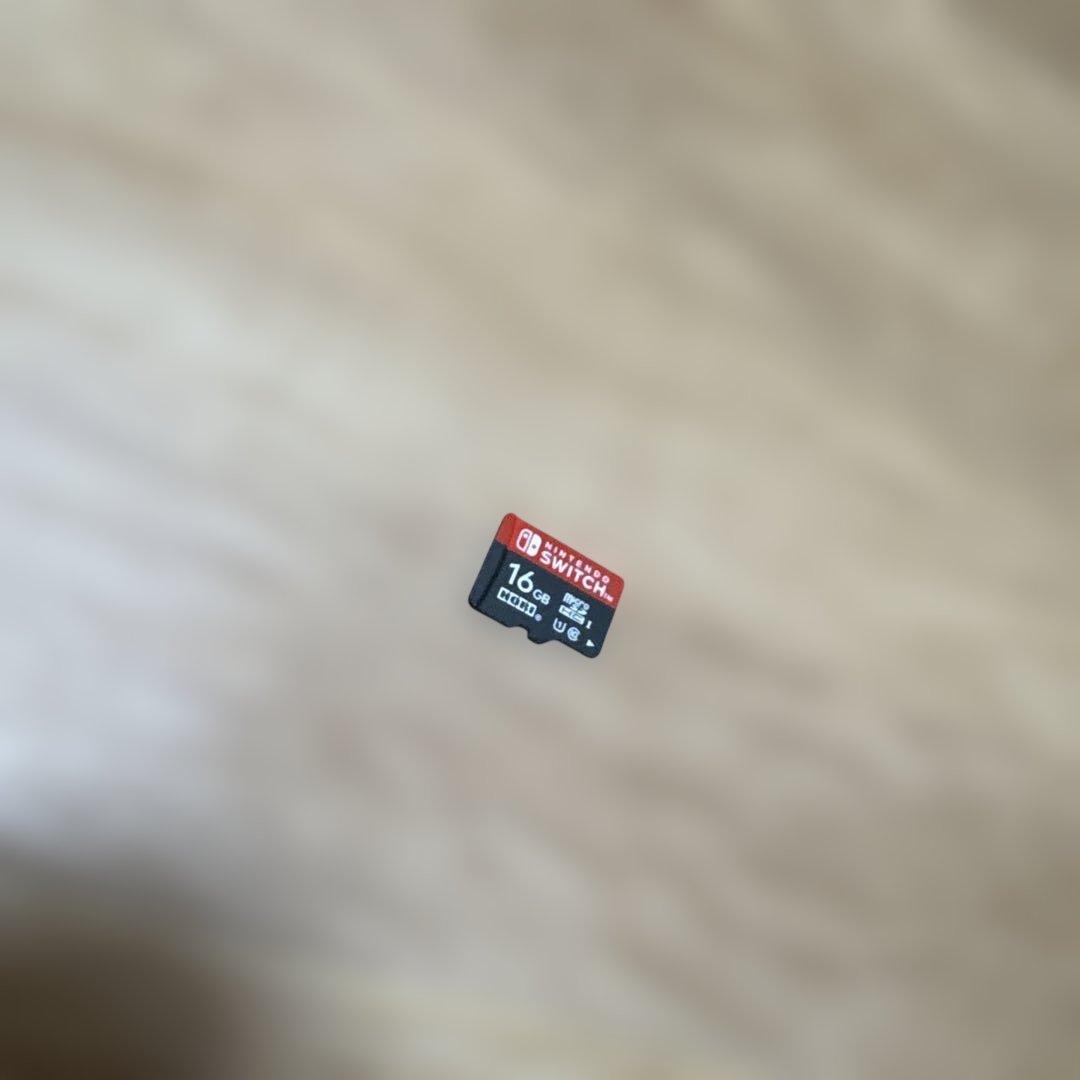 Nintendo Switch SD付き　セット