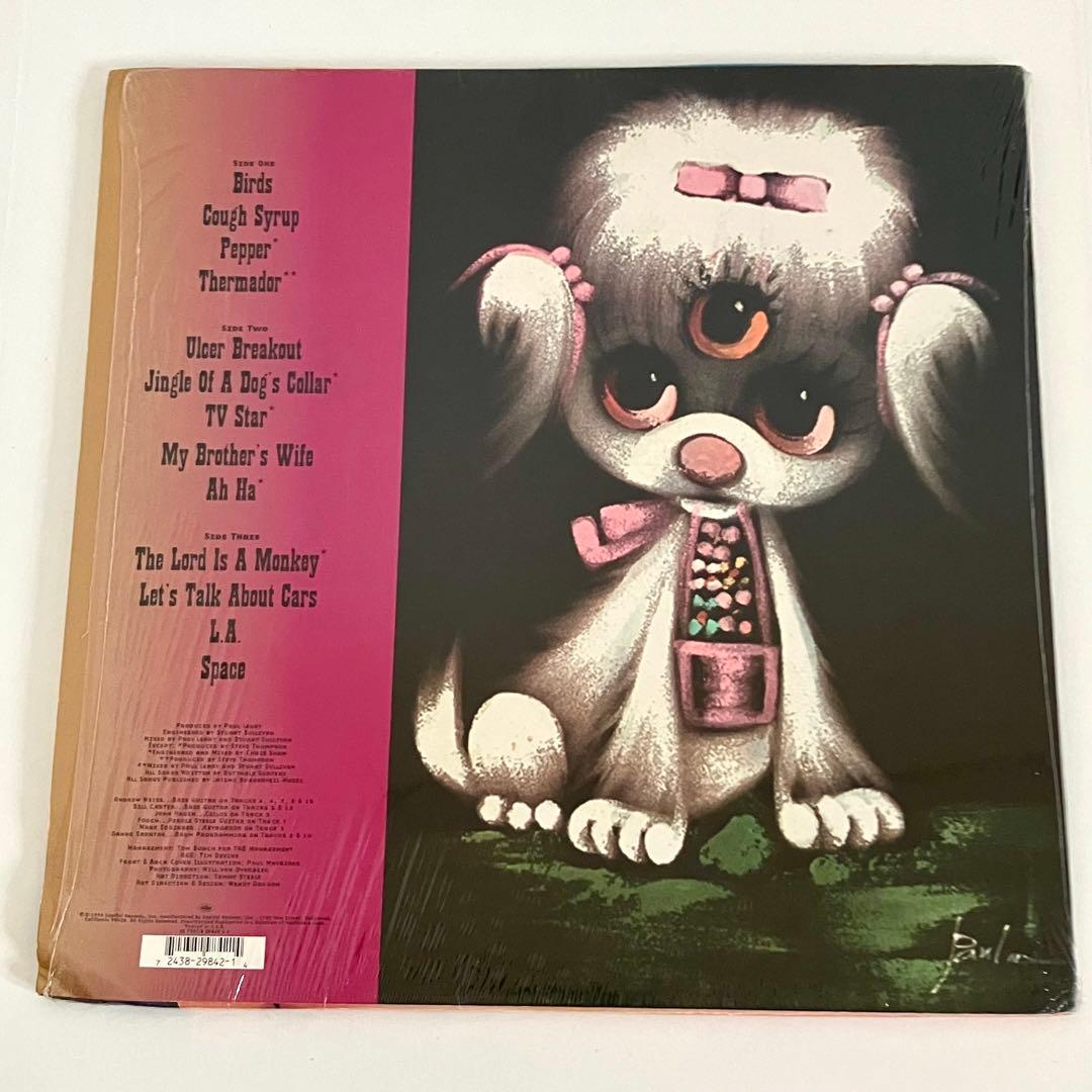 LP BUTTHOLE SURFERSレコードELECTRICLARRYLAND