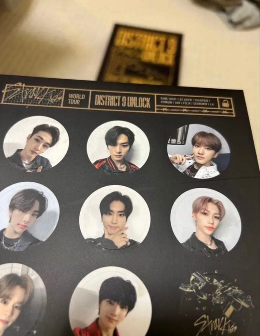 Stray Kids スキズ　'District 9 : Unlock' DVD