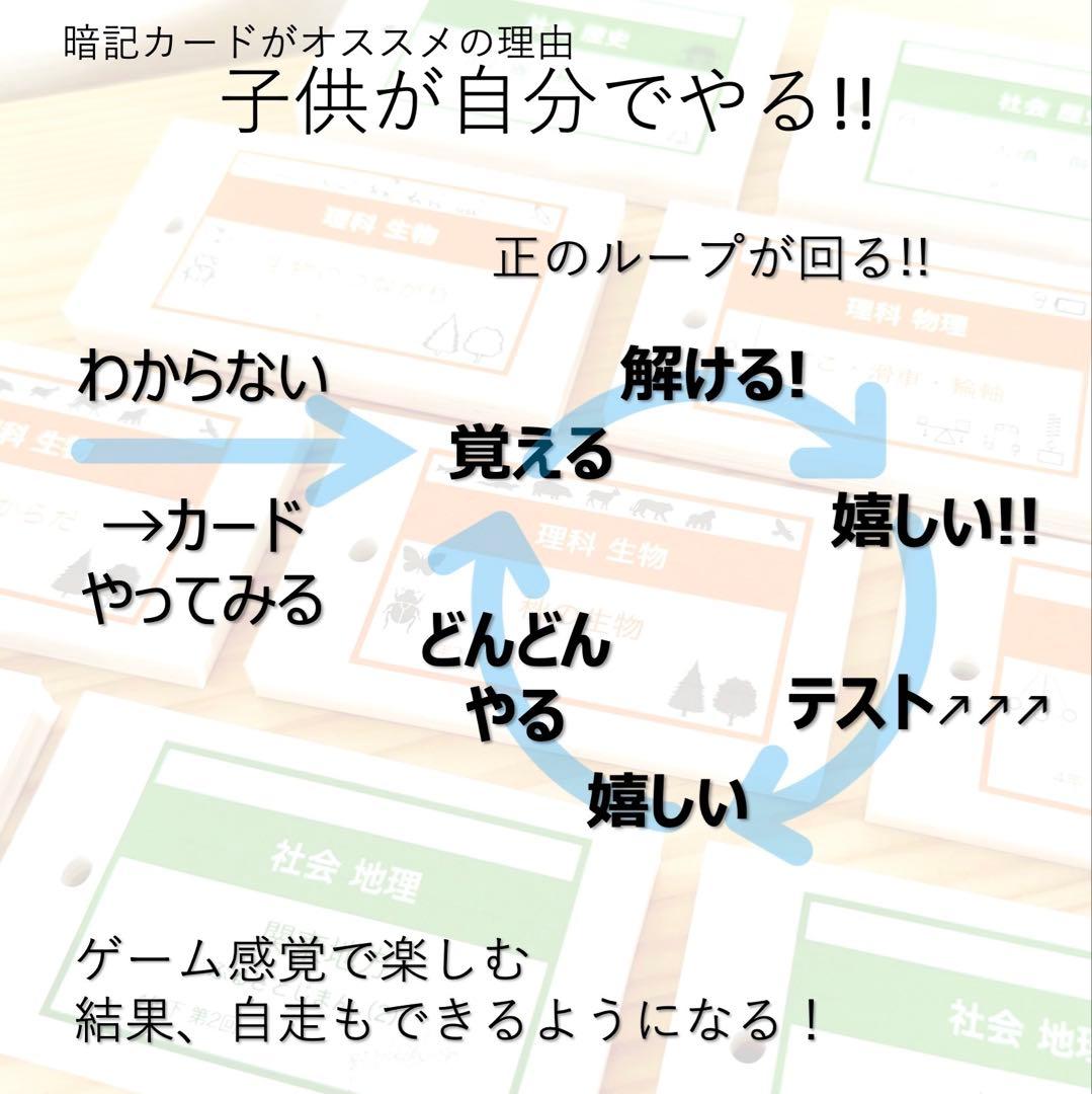 中学受験 暗記カード【6年上 社会・理科 15-17回】予習シリーズ 組分け