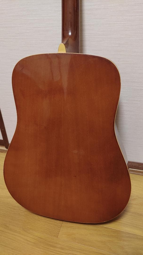 ギター Pro Martin W-180