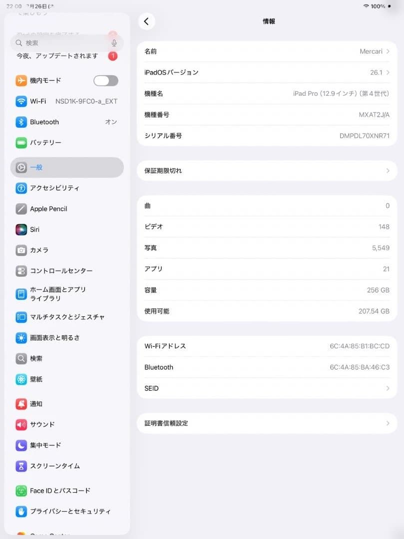 Apple iPad Pro 12.9インチ 256GB バッテリー最大80%