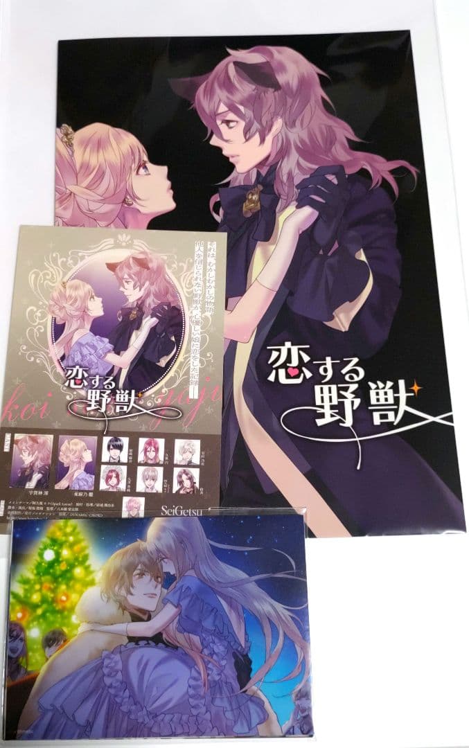 新品◆Blackish House　sideA→ -Retour-　特装版　限定