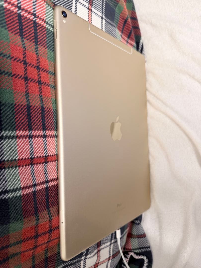 iPad Pro (12.9インチ) (第2世代) 512GB