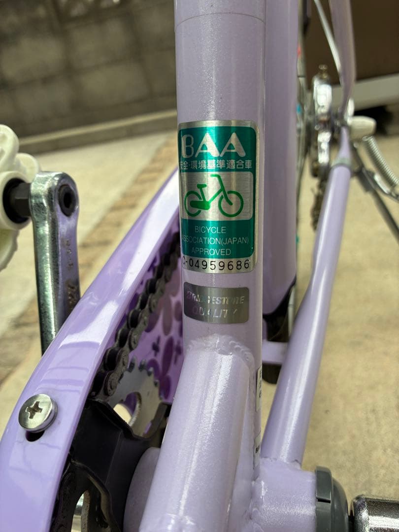 ブリヂストン Eco Pal エコパル 22インチ 子供用自転車