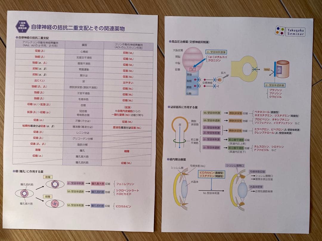 110回薬剤師国家試験対策参考書　青本青問全セット